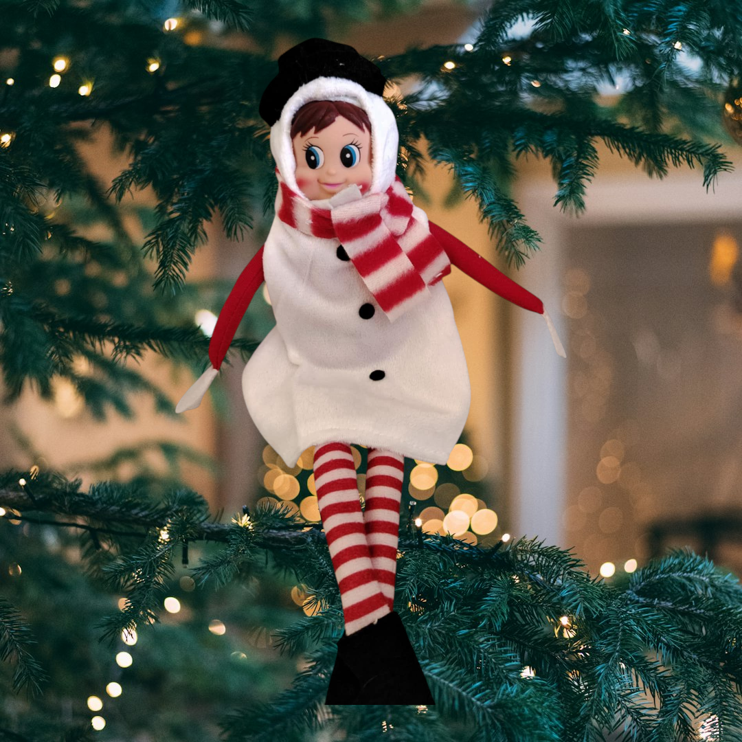 Costume bonhomme de Neige
